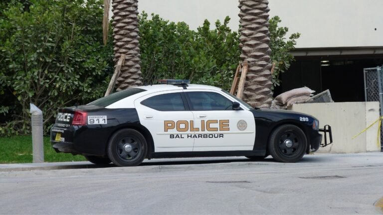 Dubai Police Jobs